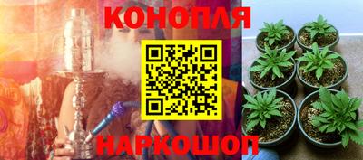 индика Бузулук