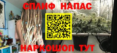 индика Бузулук