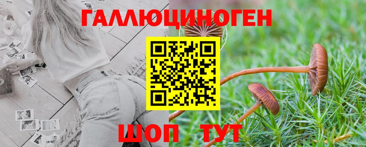 Менделеевск  Галлюциногенные грибы MAGIC MUSHROOMS  Вход с VPN 