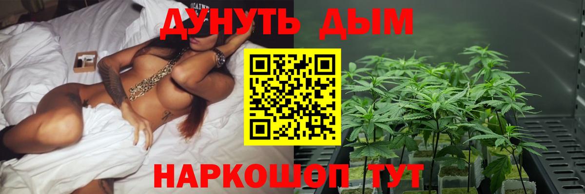Канабис семена  Вход с VPN  Канабис VHQ  Менделеевск  Бошки Шишки тримм 
